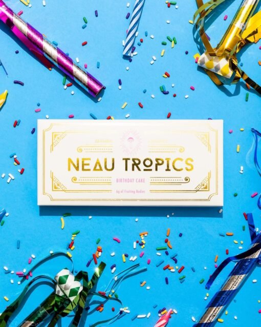 neau tropics chocolate birthday cake