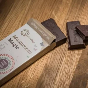 Mushroom chocolate dosage and serving guide
