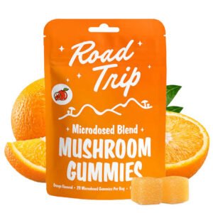 Road Trip Daily Blend Mushroom Gummies
